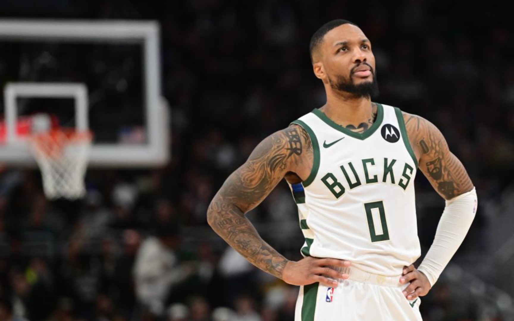 向成熟与强 向成熟与强