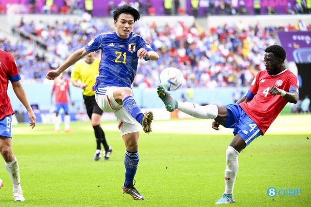 分放大了细 分放大了细