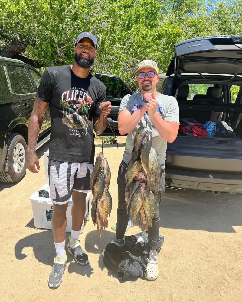 分担更合理 分担更合理